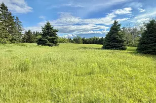 17 Doucette Rd, Grand Isle, ME 04746 - Photo 23