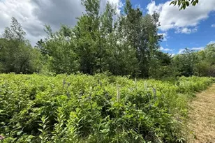 866 Main St, Meddybemps, ME 04657 - Photo 99