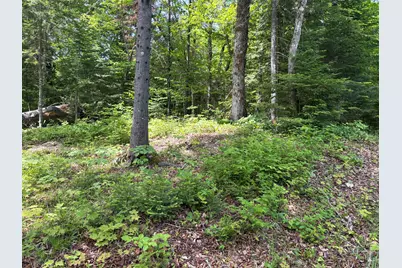 Lot 12 S South Branch Road, Tc R2 Wels, ME 04735 - Photo 39