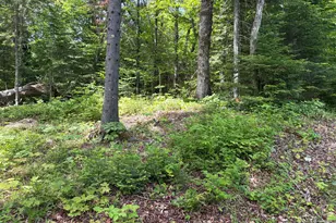 Lot 12 S South Branch Rd, Tc R2 Wels, ME 04735 - Photo 39