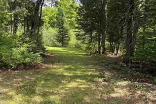 Lot 12 S South Branch Rd, Tc R2 Wels, ME 04735 - Photo 39
