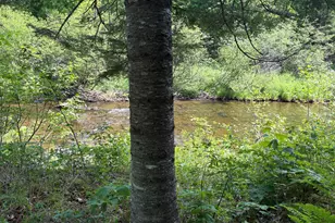 Lot 12 S South Branch Rd, Tc R2 Wels, ME 04735 - Photo 37