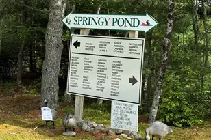 628 Springy Pond Rd, Otis, ME 04605 - Photo 25