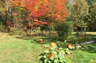 1341 Appleton Rd, Union, ME 04862 - Photo 23