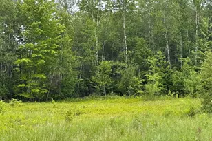 251 Jr Williams Rd, Wesley, ME 04686 - Photo 13