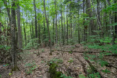 Lot 1-8 Watson Hill Road, Limerick, ME 04048 - Photo 19