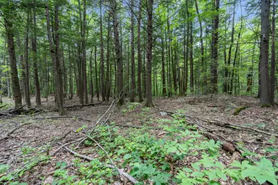Lot 1-8 Watson Hill Road, Limerick, ME 04048 - Photo 25