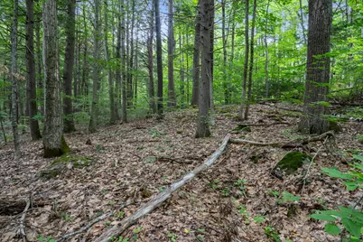 Lot 1-8 Watson Hill Road, Limerick, ME 04048 - Photo 21