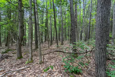 Lot 1-8 Watson Hill Road, Limerick, ME 04048 - Photo 23