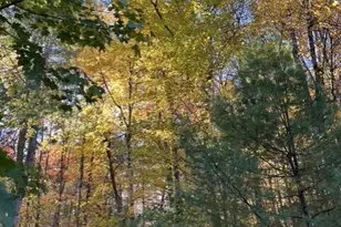 40 Pheasant Run Rd, Belgrade, ME 04917 - Photo 51