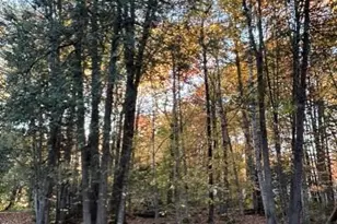 40 Pheasant Run Rd, Belgrade, ME 04917 - Photo 49