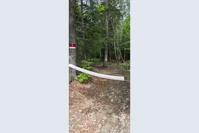 290 Allagash Road, Greenville, ME 04441 - Photo 43
