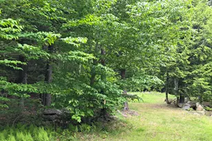 290 Allagash Rd, Greenville, ME 04441 - Photo 57