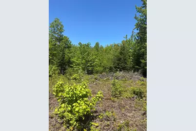 54 Poplar Lane, Hancock, ME 04640 - Photo 1