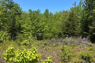 54 Poplar Ln, Hancock, ME 04640 - Photo 1