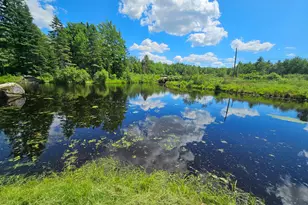293 Lower Detroit Rd, Plymouth, ME 04969 - Photo 7