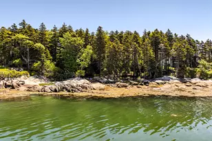 169 Island Ave, Saint George, ME 04860 - Photo 57