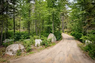 12 Moose Tuchus Point, Dedham, ME 04429 - Photo 49