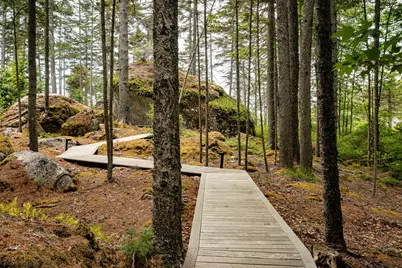 12 Moose Tuchus Point, Dedham, ME 04429 - Photo 7