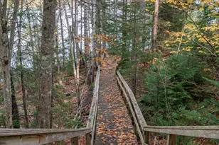 52 Oak Run Rd, Westport, ME 04578 - Photo 131