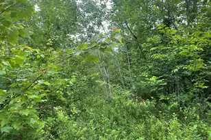 19 Swan Rd, New Sharon, ME 04955 - Photo 117