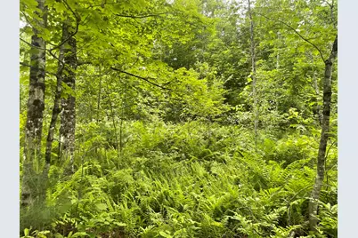 19 Swan Road, New Sharon, ME 04955 - Photo 105