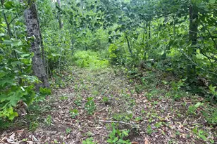 19 Swan Rd, New Sharon, ME 04955 - Photo 113