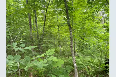 19 Swan Road, New Sharon, ME 04955 - Photo 99