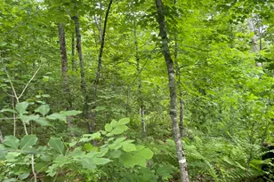 19 Swan Rd, New Sharon, ME 04955 - Photo 99