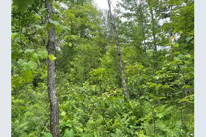 19 Swan Road, New Sharon, ME 04955 - Photo 101