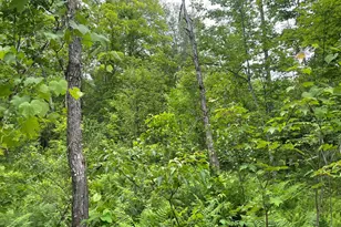 19 Swan Rd, New Sharon, ME 04955 - Photo 101