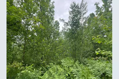 19 Swan Road, New Sharon, ME 04955 - Photo 103