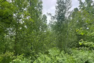 19 Swan Rd, New Sharon, ME 04955 - Photo 103