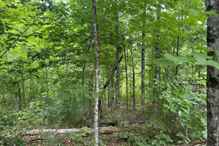 19 Swan Rd, New Sharon, ME 04955 - Photo 93