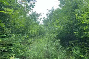 19 Swan Rd, New Sharon, ME 04955 - Photo 115