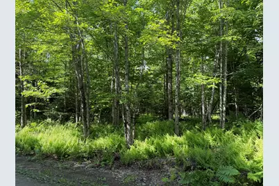 L1 Lily Bay Road, Greenville, ME 04441 - Photo 11