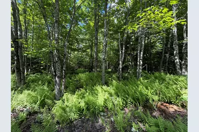 L1 Lily Bay Road, Greenville, ME 04441 - Photo 9