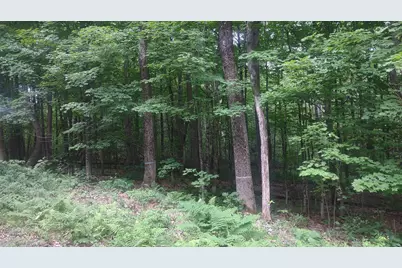 Tbd Stream Road Road, Vienna, ME 04360 - Photo 7