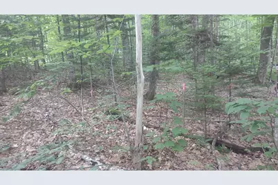 Tbd Stream Road Road, Vienna, ME 04360 - Photo 5