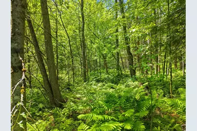 00 Stetson Road E, Levant, ME 04456 - Photo 13