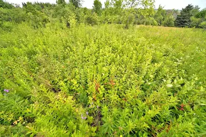 Lot 16-B Maine 11, Patten, ME 04765 - Photo 37