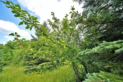 Lot 16-B Maine 11, Patten, ME 04765 - Photo 35