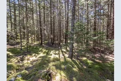 4/30 M/L North Road, Swans Island, ME 04685 - Photo 5