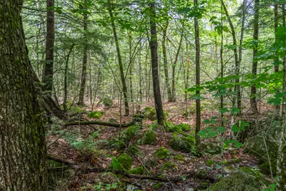 Lot17-30-1 Howland Hill Road, Belgrade, ME 04917 - Photo 27