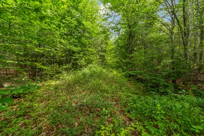 Lot17-30-1 Howland Hill Road, Belgrade, ME 04917 - Photo 31