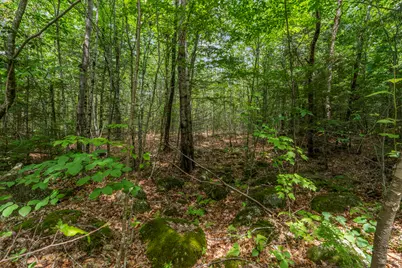 Lot17-30-1 Howland Hill Road, Belgrade, ME 04917 - Photo 29