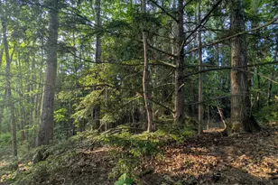 0 Ginger Hill Ln Lot 8A, Arundel, ME 04046 - Photo 23