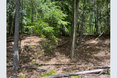 128 Common Road, Dixfield, ME 04224 - Photo 7