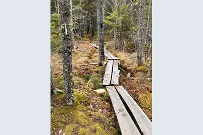 373 Tom Leighton Point Road, Milbridge, ME 04658 - Photo 17