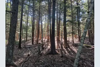000 Ridge School Road, Liberty, ME 04949 - Photo 3